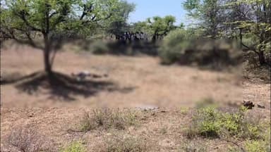 माण्डलगढ़: माण्डलगढ़ के जंगल में युवक की हत्या, 5 दिन बाद भी शिनाख्त नहीं हो पाई