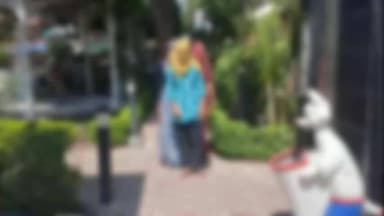 झांसी: ग्राम सैयर में फल तोड़ने गई युवती से दबंग ने की छेड़खानी, पीड़ित परिजनों ने SSP से की शिकायत