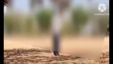 महरौनी: ग्राम बिल्ला निवासी किसान ने संदिग्ध परिस्थितियों में फांसी लगाकर आत्महत्या की, पुलिस ने शव को पोस्टमार्टम के लिए भेजा