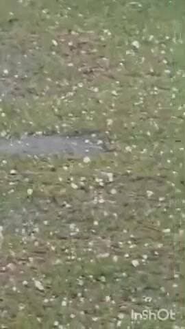 ನರಸಿಂಹರಾಜಪುರ: ಮಲೆನಾಡಲ್ಲಿ ಆಲಿಕಲ್ಲು ಸಹಿತ ಭಾರೀ ಬಿರುಗಾಳಿ ಮಳೆ.!