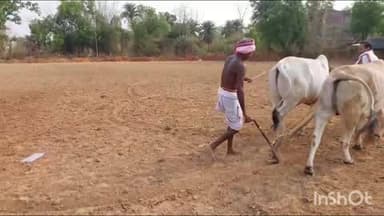 ରେଢାଖୋଲ: କଦଳୀଗଡ ଠାରେ ଦଧିବାମନ ଆଞ୍ଚଳିକ କୃଷକ ସଂଗଠନ ପକ୍ଷରୁ ଅକ୍ଷିମୁଠି ଅନୁକୂଳ