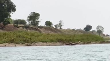 नरसिंहपुर: चिनकी घाट में नाविक कराते हैं मगरमच्छ के लाइव दर्शन, उमड़ी सैलानियों की भीड़