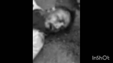 વિસનગર: વિસનગરના ભાંડુ ગામ પાસે મહેસાણા પાલનપુર હાઇવે પર ટ્રકની ટકરે એક યુવકનું ઘટના સ્થળે મોત