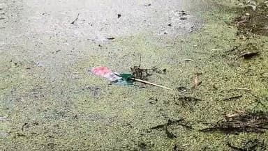 *ভোটের মুখে উত্তপ্ত সাগর! বঙ্কিম হাজরার ফ্লেক্স ছিঁড়ে ফেলা হলো পুকুরে; উত্তেজনায় পুলিশি টহল*
অমিত মণ্ডল, সাগর: ভোটের দি...