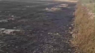 रसूलाबाद: मकरंदपुर कहिंजरी में भीषण आग से 20 बीघा गेहूं की फसल हुई राख, किसानों को हुआ भारी नुकसान