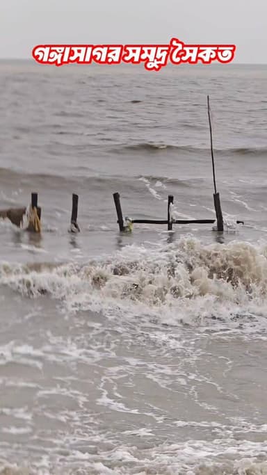 গঙ্গাসাগর সমুদ্র সৈকত।।
#reel #reels #gangasagar #sagardwip #ganganodi #bayofbangal
গঙ্গাসাগর বেলাভূমি.com