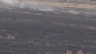 #रसूलाबाद संदिग्ध परिस्थितियों में लगी भीषड़ आग, गेहूं की फसल जली।