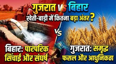 गुजरात vs बिहार खेती: कितना बड़ा अंतर? 🐢 तपती गर्मी और सिंचाई की हकीकत#BiharAgriculture #GujaratAgriculture #खेती_किसा...