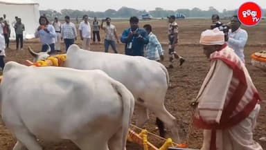 #Breaking
ପବିତ୍ର ଅକ୍ଷୟ ତୃତୀୟାରେ ଅକ୍ଷିମୁଠି ଅନୁକୂଳ କଲେ ମୁଖ୍ୟମନ୍ତ୍ରୀ ମୋହନ ଚରଣ ମାଝି #kuchindatv #kuchindanews #amarkuchinda...