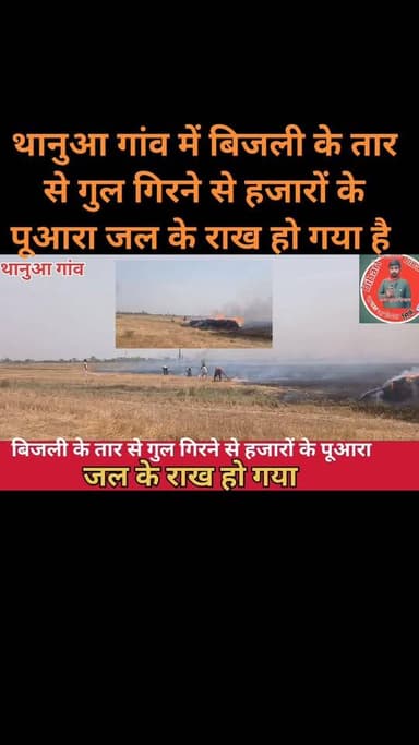 थानुआ गांव में बिजली के तार से गुल गिरने से हजारों के पूआरा जल के राख हो गया है