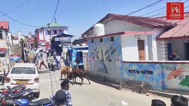 #पौड़ी में आवारा #सांडों का आतंक बढ़ता जा रहा है। #सड़कों और #बाजारों में लोगों को जान बचाकर भागना पड़ रहा है। स्थानीय ल...