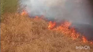 सिकंदराराऊ: अगराना जरारा में खेत में खड़ी गेहूँ की फसल में लगी आग, 25 बीघा फसल जलकर राख, नामजदों पर आरोप