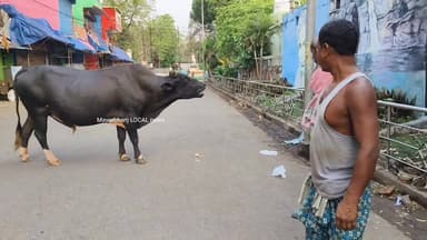 #ଦିବ୍ୟାଙ୍ଗ "ସୁଶାନ୍ତ ଧଳ" ଙ୍କ ମହାନତା,,,#
#ଆସନ୍ତୁ ପଶୁ ପକ୍ଷୀଙ୍କ ପାଇଁ ଗୋଟିଏ ପାଦ ଆଗକୁ ନେବା..#