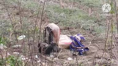 ଧର୍ମଗଡ: ଗୁନଗୁନିଆ ନିକଟରେ ରାସ୍ତା କଡର ଏକ ଗଛ ସହ ବୋଲେରୋର ଧକ୍କା ମହିଳାଙ୍କ ମୃତ୍ୟୁ ୫ ଗୁରୁତର