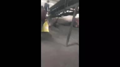 मंझनपुर: कौशांबी पुलिस ने जिले के विभिन्न थानों में दर्ज 118 मुकदमों में ज़ब्त किए गए 940 किलोग्राम गांजे को नष्ट करवाया