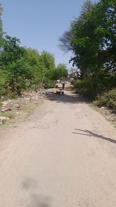 बोलाई से bijrotha की और jane बाला rasta पंडित गोरव चौबे जी के स्कुल के सामने