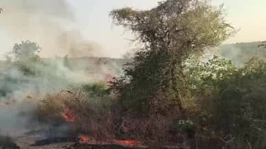 पिड़ावा: गोविंदपुरा के पास वन विभाग के वृक्षारोपण क्षेत्र में लगी आग, हजारों पेड़-पौधे जलने से लाखों रुपये का हुआ नुकसान