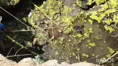 प्रतापगढ़: बोरी पी गांव में शादी में आए डॉक्टर लापता, मिला शव; पानी खाली करवाने पर मिले सामान, परिजनों ने जताई हत्या की आशंका