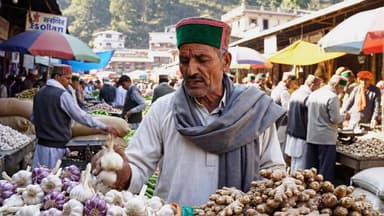 21 अप्रैल 2026 को सोलन मंडी में लोकल लहसुन ₹90 प्रति किलो और बीज का अदरक ₹70 किलो बिका #lahsun #adrak #s9pan #mandi #hi...