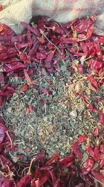 #341 డీలక్స్ 225-220 #subscribe #chilli #trendingshorts