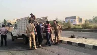 करछना: बेंदौ गांव के सामने वैवाहिक कार्यक्रम से घर लौटते समय बाइक डिवाइडर से टकराई, एक की मौत और अन्य दो घायल