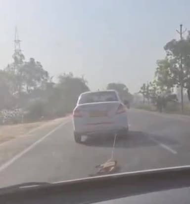 बदायूं: एमएफ हाईवे पर कार के पीछे कुत्ते को बांधकर घसीटने का वीडियो सोशल मीडिया पर वायरल हुआ
