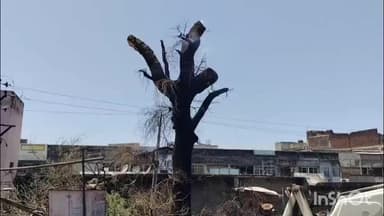 દિલ્લી ગેટ નજીક લાગેલી આગમાં ત્રણ વાહનો બળી ગયા બાદ વૃક્ષ માં આગ ચાલુ રહેતા ફાયરની ટીમ પહોંચી