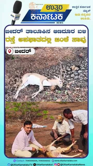 Anadur | ಬೀದರ್ ತಾಲೂಕಿನ ಆಣದೂರ ಬಳಿ ರಸ್ತೆ ಅಪಘಾತದಲ್ಲಿ ಜಿಂಕೆ ಸಾವು | Uttar Karnataka News