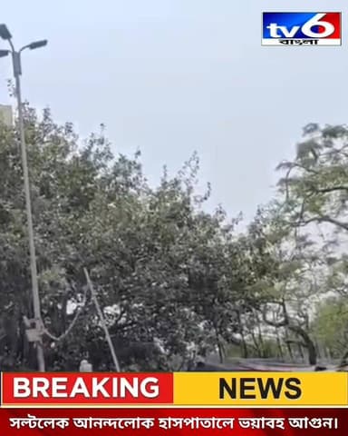 ভয়াবহ আগুন সল্টলেকের আনন্দলোক হাসপাতালে! দ্রুত সরানো হলো রোগীদের, এলাকায় ব্যাপক চাঞ্চল্য
#tv6বাংলা #fpyシviralfypシ゚vir...