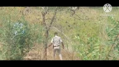 अमरवाड़ा: सिंगोडी बाईपास पर झाड़ियों में मिला नर कंकाल, इलाके में फैली सनसनी