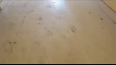 କେନ୍ଦ୍ରାପଡା: ଆଳି ବ୍ଲକ ପରିବେଶକୁ ନେ଼ଇ ଉଠିଲା ପ୍ରଶ୍ନ ,ଦେଖନ୍ତୁ ଦୃଶ୍ୟ