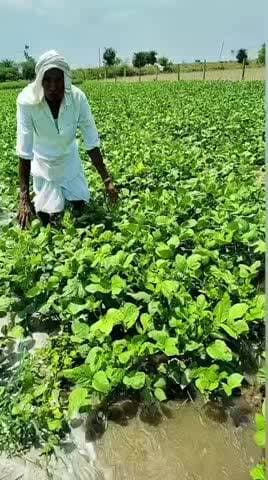 tonk distik me jhirana gav