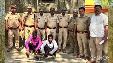 पलिया: दुधवा नेशनल पार्क के बफर जोन की भीरा वनरेंज क्षेत्र में जंगली सुअर की हत्या के मामले में दो गिरफ्तार, भाला बरामद