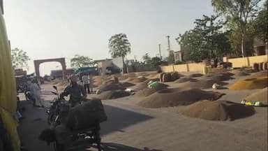 रायपुर: रायपुर कृषि उपजमंडी में 4 दिन बाद जिंसों की खरीद पुनः शुरू, सोयाबीन के भाव में रही तेजी