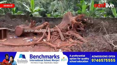 ചുള്ളക്കാട് സ്കൂളിലെ മരം മുറി; പ്രധാനാധ്യാപികയുടെ വാദങ്ങൾ തള്ളി വിദ്യാഭ്യാസ വകുപ്പ് | Manjeri