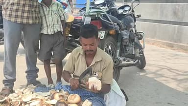 పుంగనూరు: తాటి ముంజలకు బలే గిరాకి.