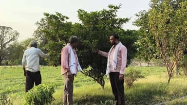 ग्राम कुंवरपुर में दवे ऑर्गेनिक जैविक खेती के लोगों को किया रहा जा रहा है जागरूक