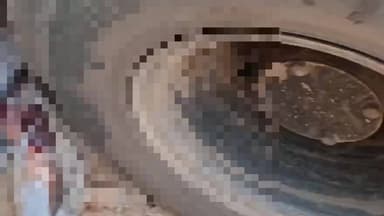 कोटड़ी: बड़ाखेड़ा गांव में ट्रेलर की चपेट में आने से युवक की हुई मौत