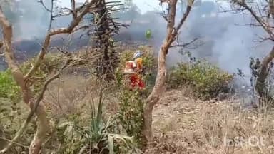 ବୀରମହାରାଜପୁର: ପଳାଶ ଗାଁ ନିକଟ ବିଲରେ ଲାଗିଲା ନିଆଁ, ଆୟତ୍ତ କଳା ଉଲୁଣ୍ଡା ଅଗ୍ନିଶମ ବାହିନୀ