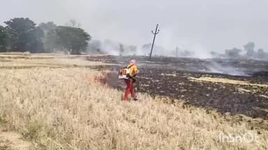 ସୋନପୁର: ପାଲିଗାଁ ମୁହାଁ ହେଉଥିବା ବିଲ ନିଆଁକୁ ଆୟତ୍ତ କଳା ବୀରମହାରାଜପୁର ଅଗ୍ନିଶମ ବାହିନୀ