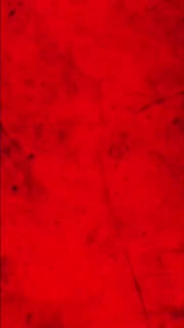 சிறுவன் ஷூ லேசை கட்டிவிட்ட வீடியோ வைரல் #ajith #ajithkumar #ajithkumarracing #thala #thalaajith