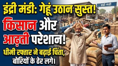 इंद्री की अनाज मंडी में गेहूं उठान की धीमी गति अब किसानों और आढ़तियों के लिए परेशानी का कारण बनी
#Indri #Karnal #Haryana...