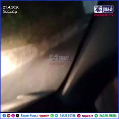 பெட்டட்டி பகுதியில் சிறுத்தை நடமாட்டம் | #RAGAMNEWS