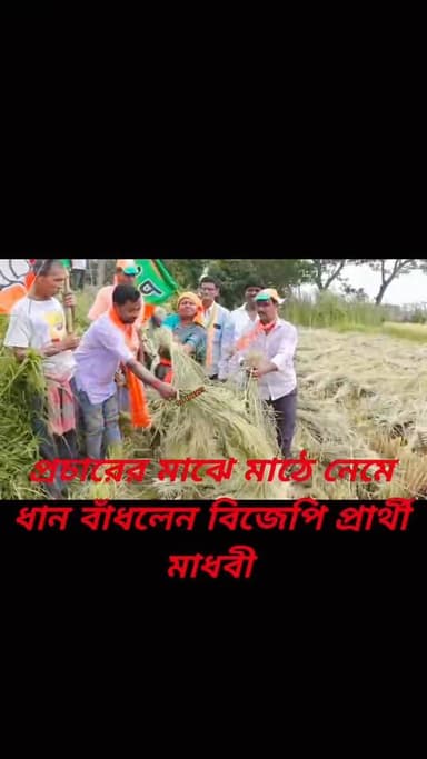 প্রচারের মাঝে মাঠে নেমে ধান বাঁধলেন কুলতালির বিজেপি প্রার্থী মাধবী মহলদার
BJP candidate from Kultali, Madhavi Mahalda...