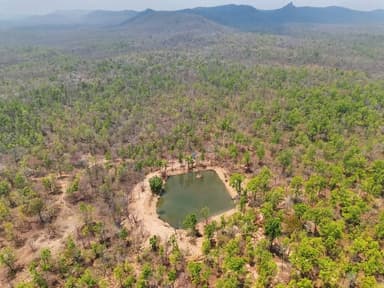 माननीय मुख्यमंत्री विष्णुदेव साय जी के मार्गदर्शन एवं उदंती सीतानदी टाइगर रिजर्व के उपनिदेशक वरुण जैन की पहल से बदली तस्...