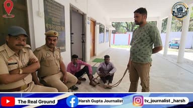 गांव में घुसे मादा जंगली सुअर की हत्या: वन विभाग की त्वरित कार्रवाई, दो आरोपी गिरफ्तार।
#LakhimpurKheri
#BhiraRange
#Wi...