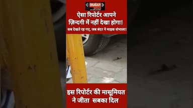 माइक पकड़ने का अंदाज़ देखिए, अच्छे-अच्छों को फेल कर दिया!"#GroundReporting #BreakingNews #