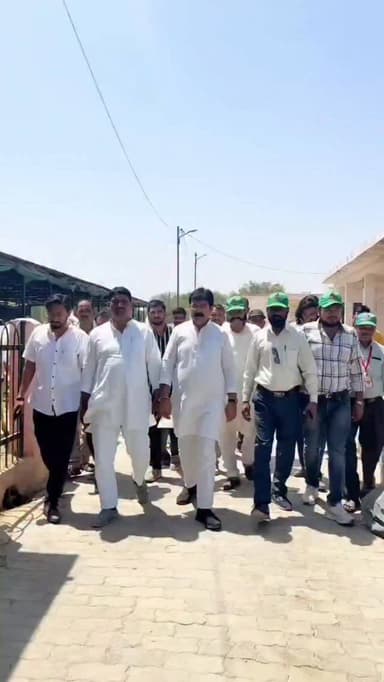 हेल्पिंग हैंड्स संस्था ने गौशाला में घास, गुड़-चना खिलाकर दिखाया सेवा भाव,पालिकाध्यक्ष रहे मौजूद