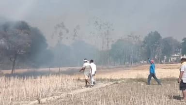 रानीगंज के देवगढ़ कमासिन और पूरे बसहु गांव के पास अज्ञात कारणों से गेहूं के खेतों में लगी आग, आग की लपटें विकराल रूप से ...