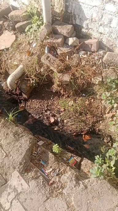 moti colo y bard no 11 ke nale hue chok